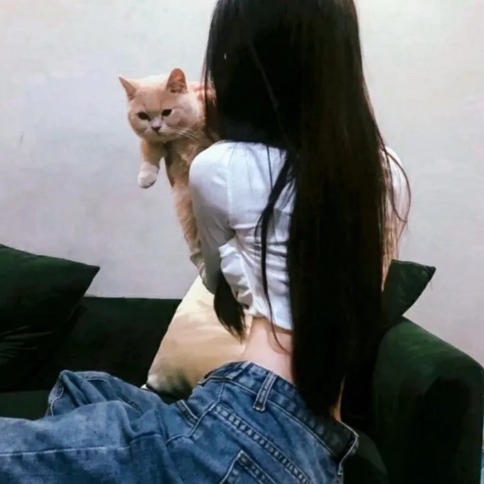 龙的传人
